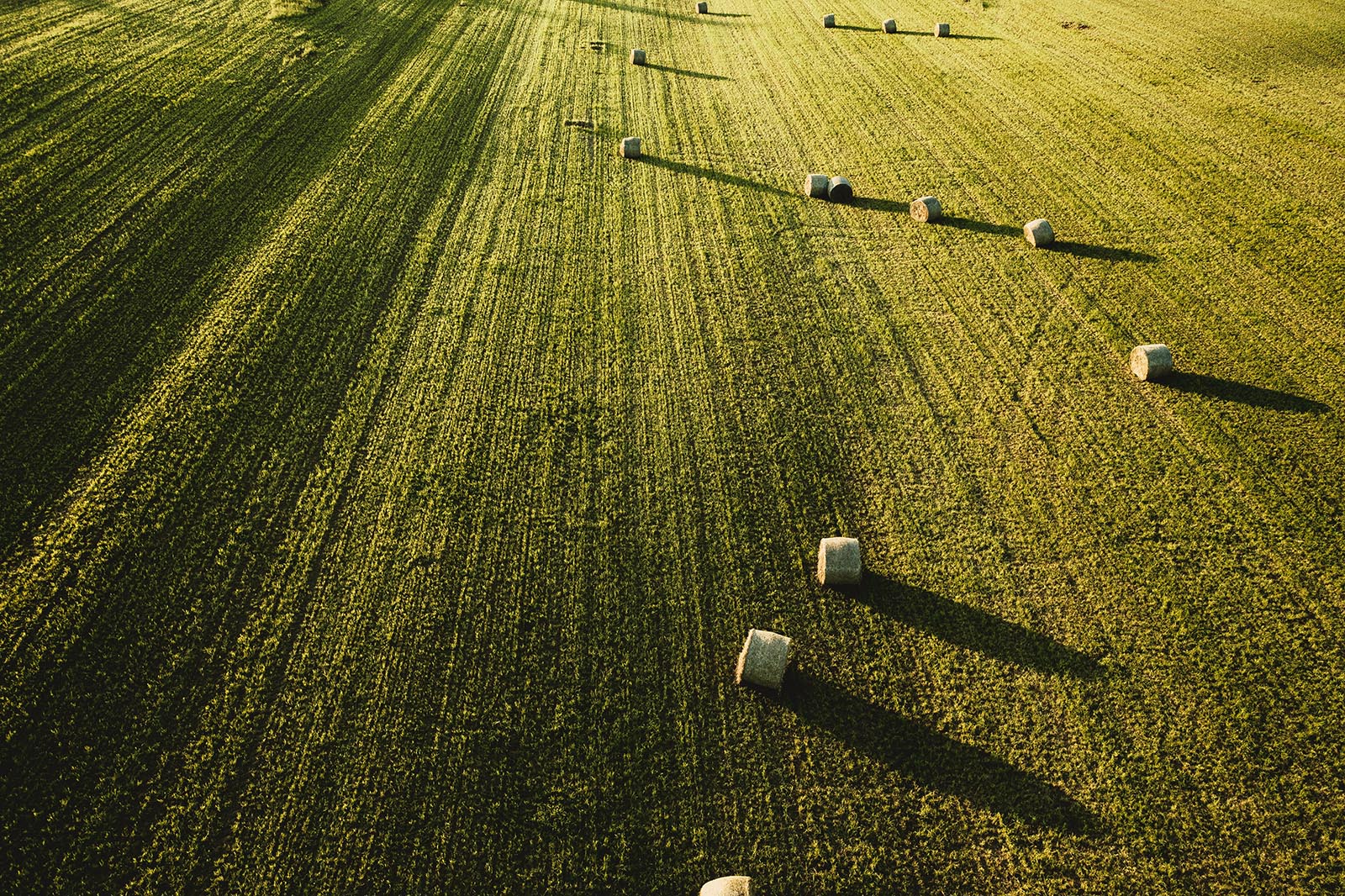 Large beautiful agricultural field with stacks of hay shot from above